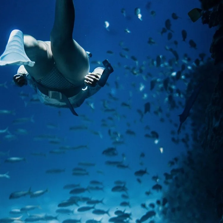 Voden potop Freedive tečaj