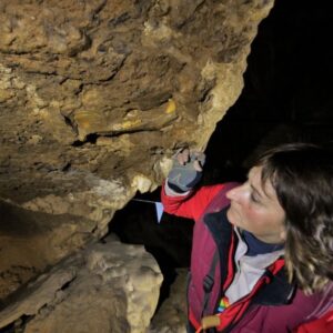 Krajši ogled Križne jame z vožnjo po I. jezeru in Medvedjega rova