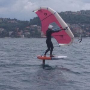 Wing šola- Začetni tečaj ŠD Chickenloop