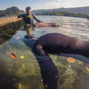 Tečaj potapljanja na dih Apnea Bled